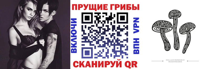 Купить где  Богучар  Галлюциногенные грибы MAGIC MUSHROOMS 