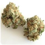 Шишки "White Widow"  (Белая вдова)  Гидропоника -  Бошка VHQ в Богучаре